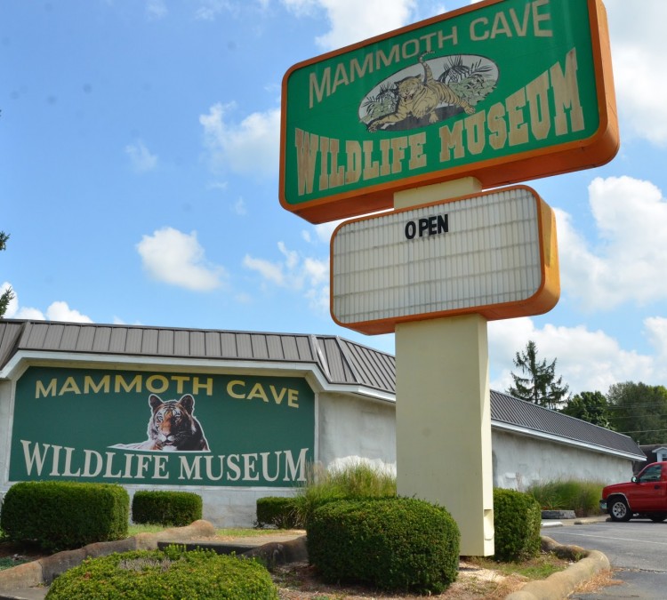 Mammoth Cave Wildlife Museum (Cave&nbspCity,&nbspKY)